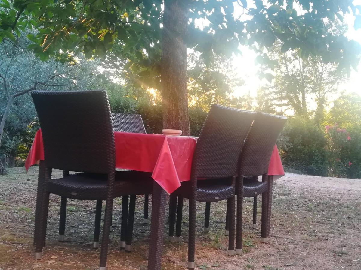 La Casa Di Famiglia Apartment *