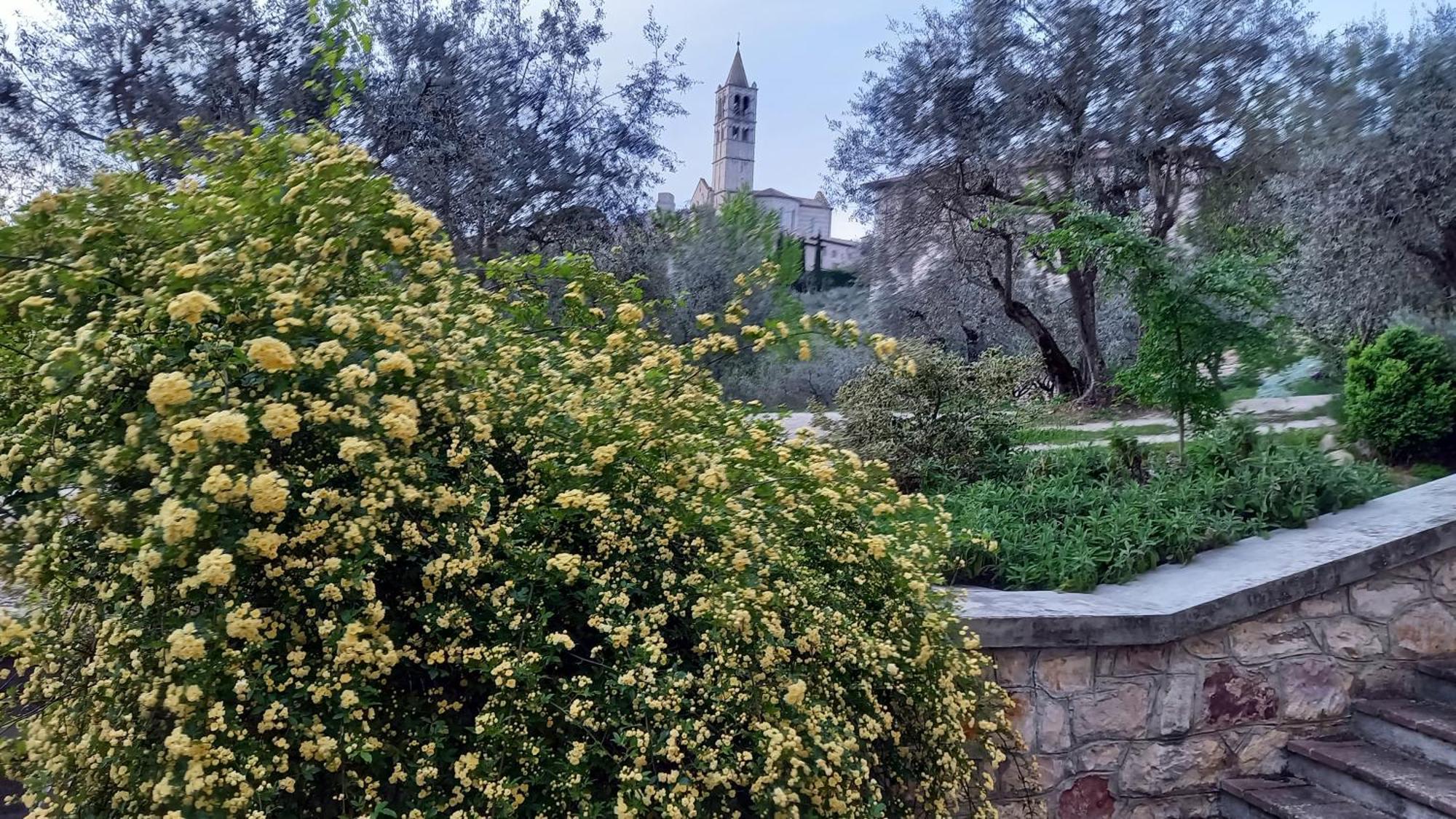 La Casa Di Famiglia Asís